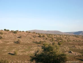בתי%20דפנה%20-%20בקתות%20עץ%20בחד%20נס%20,%20חד%20נס